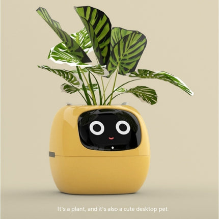IvyGrow