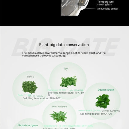 IvyGrow