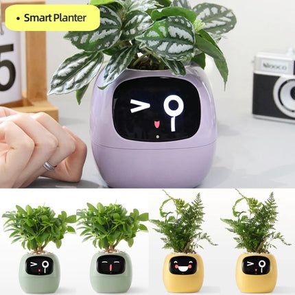 IvyGrow