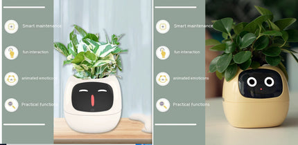 IvyGrow