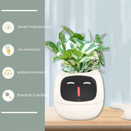 IvyGrow