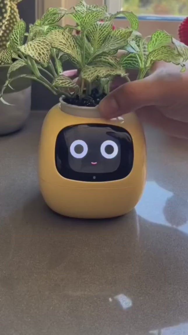 IvyGrow